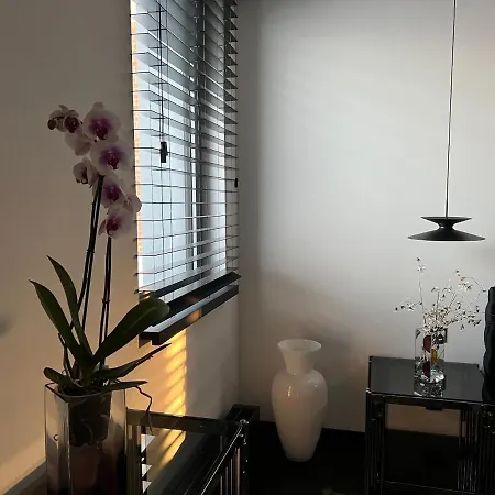 Sauna Premium Apartment *