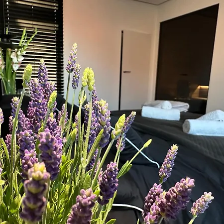 Sauna Premium Gdansk