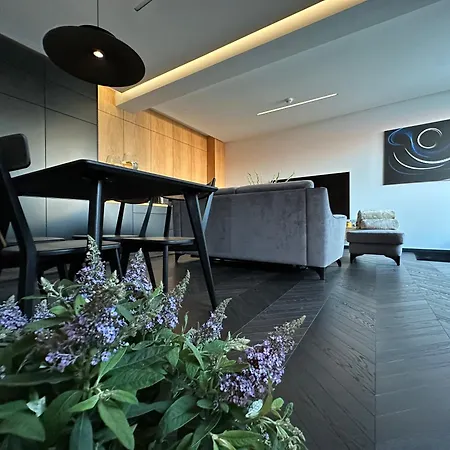 Sauna Premium Apartment *